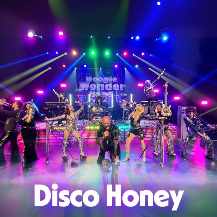Boogie Wonder Band - Disco Honey